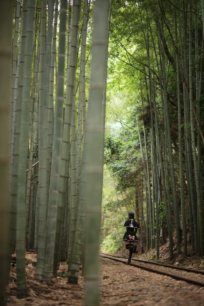 竹林の廃線跡を遠くに小さく歩く人物